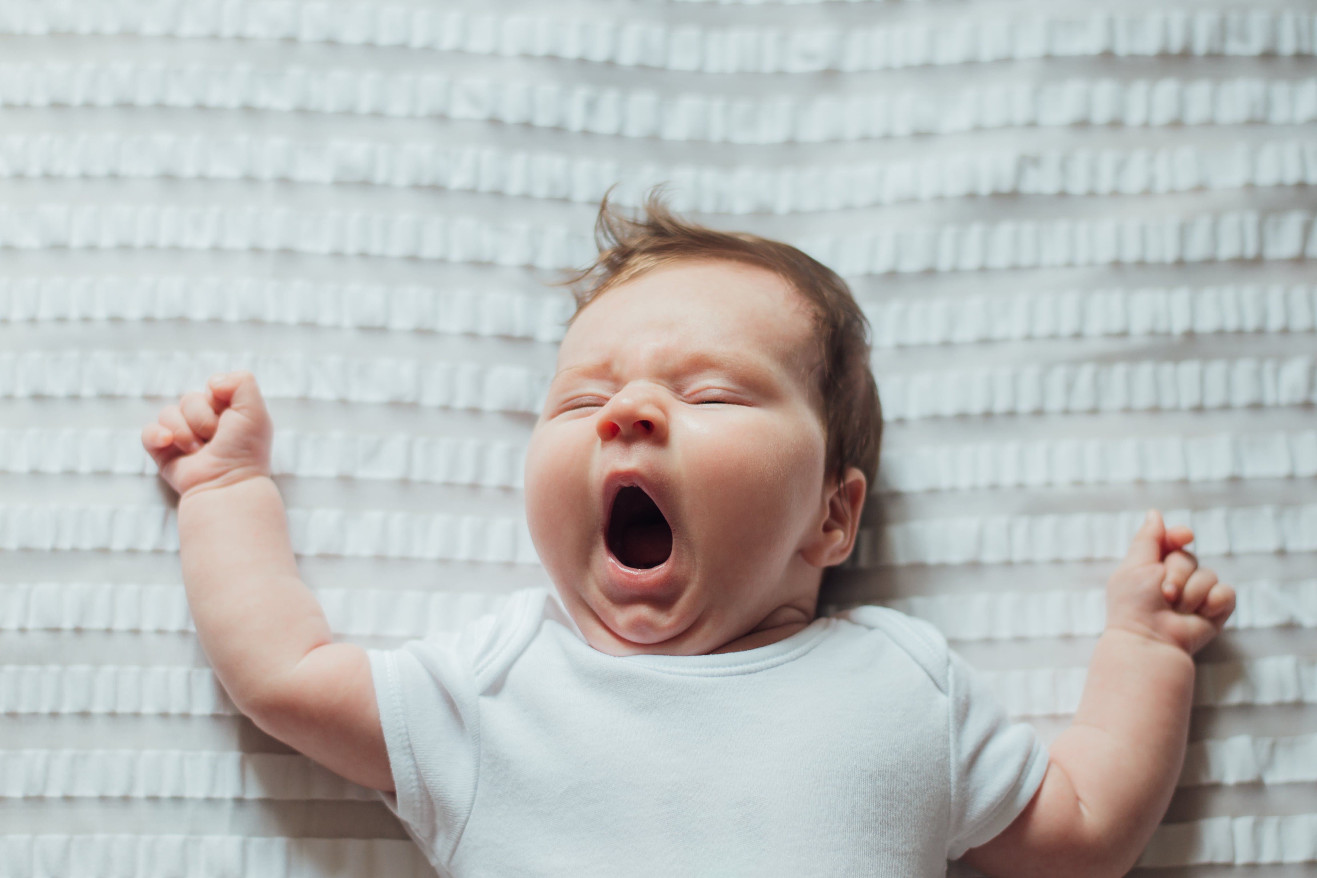 A baby on it's back, yawning with both arms stretched upwards by it's sides