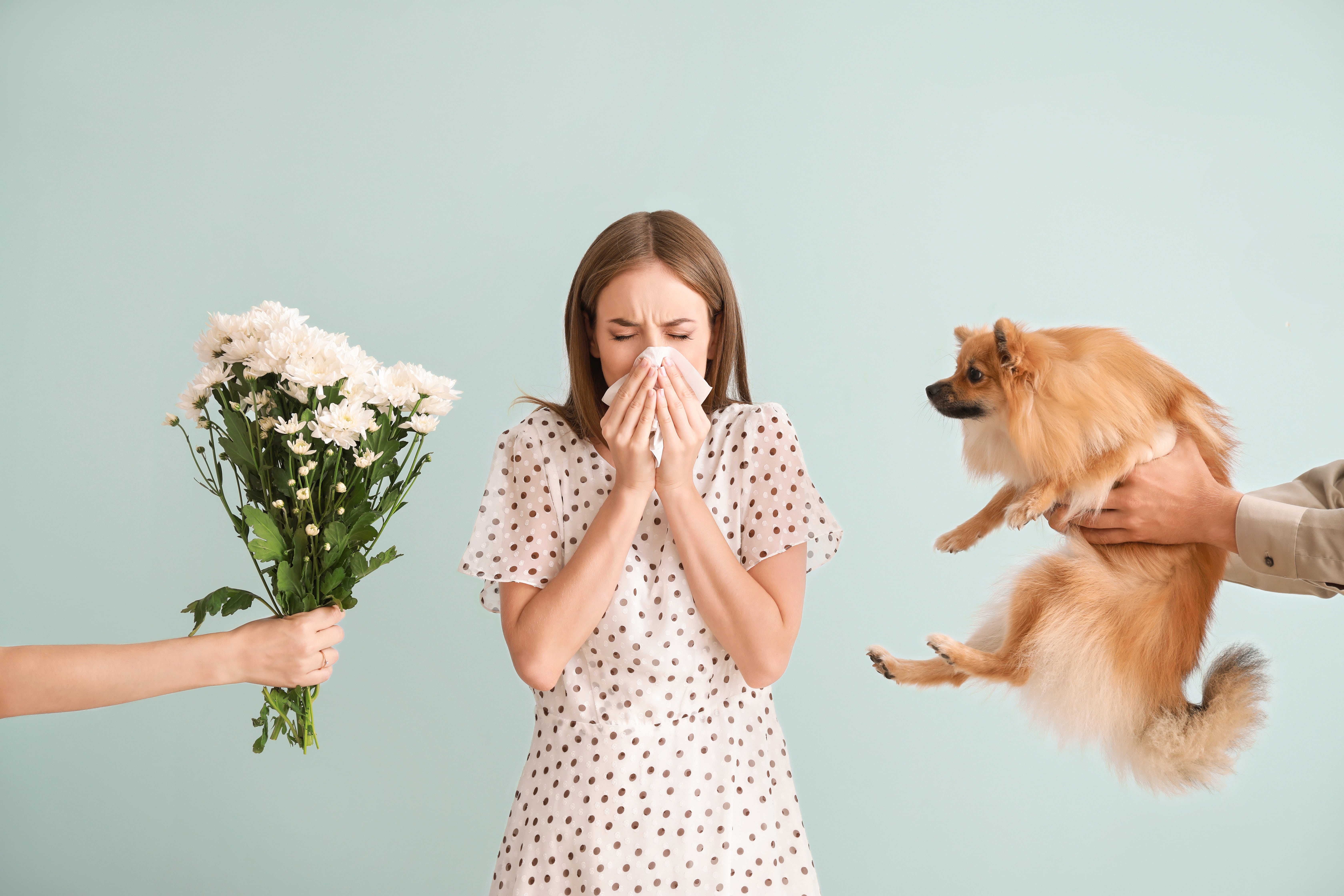A woman sneezing into a tissue with a dog being help up to her left and a bunch of flowers being held up to her right