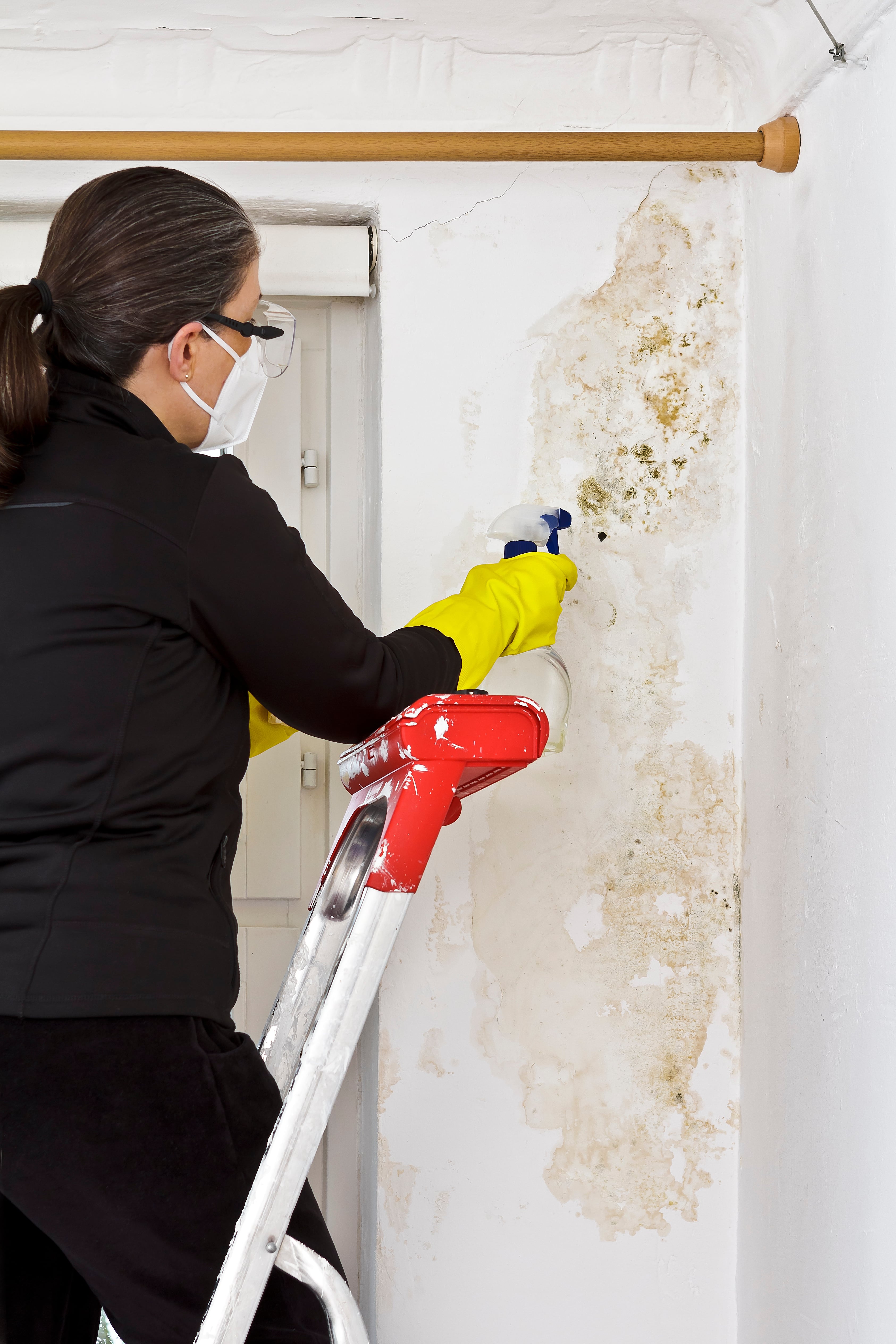 A woman wearing a facemask and googles stands on a ladder and is spraying a wall that is covered in mould.