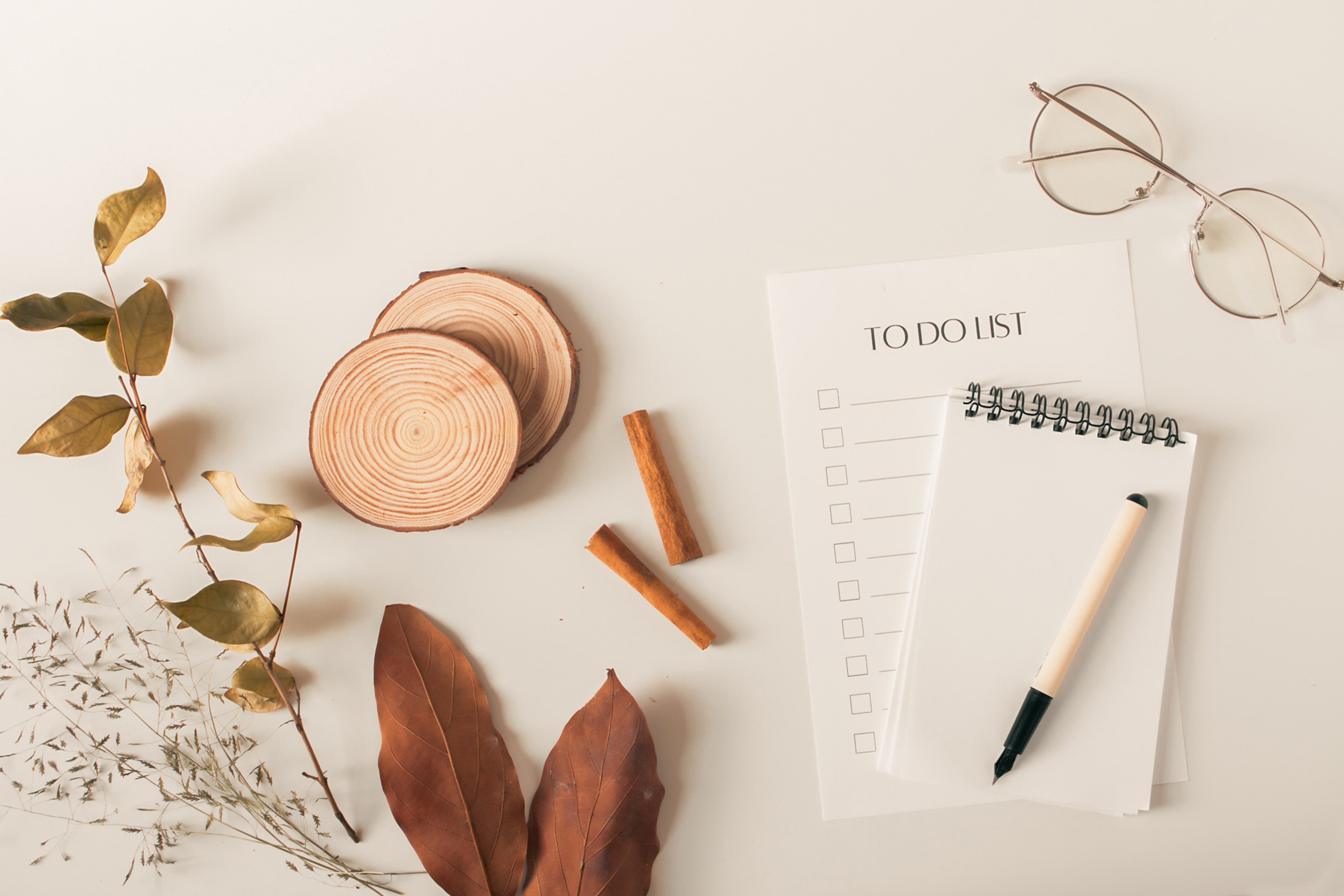 A to do list, note pad, pen and pair of glasses on a white background. Dried leaves and grass seeds on stems are scattered around the image too.