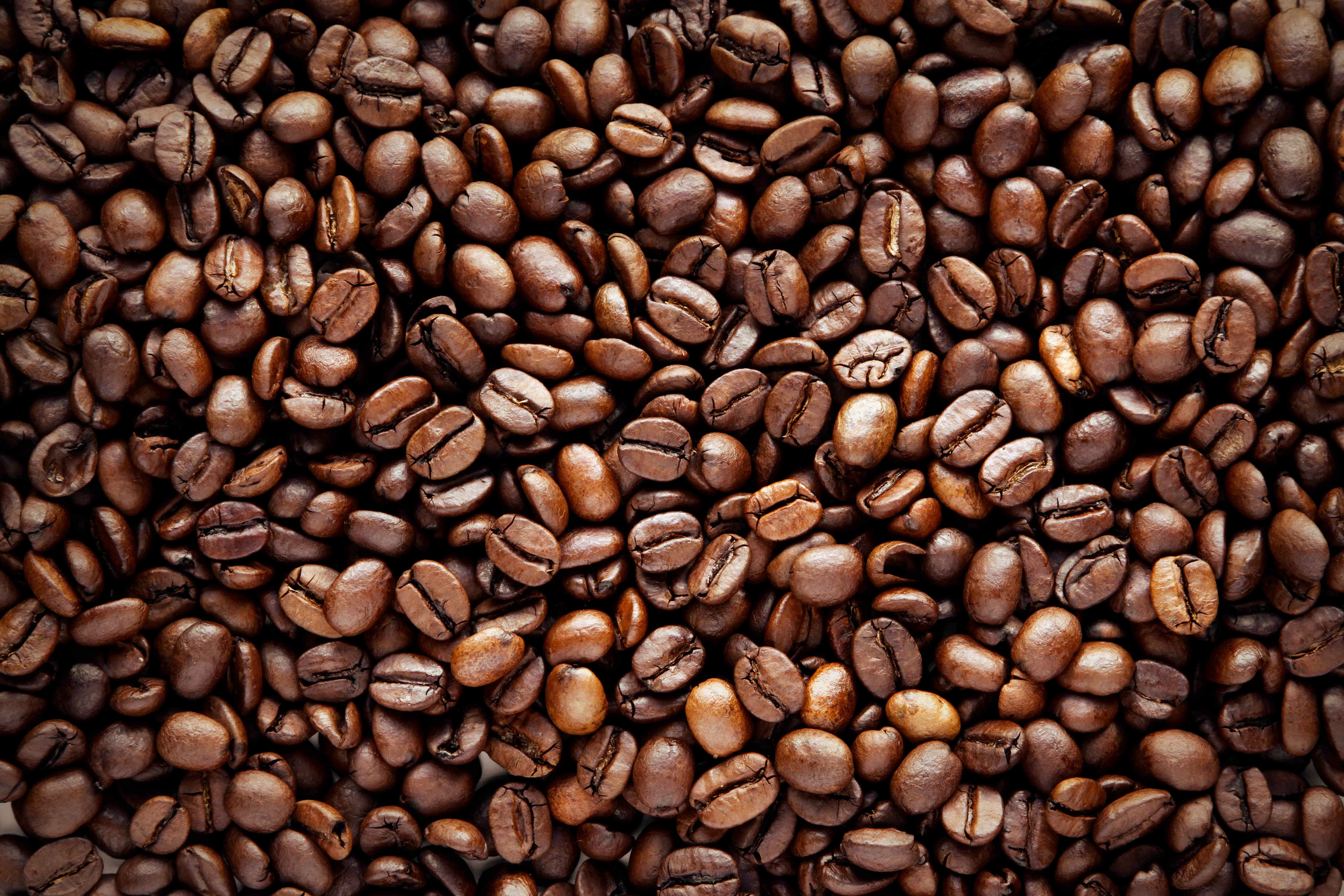 Close up on huge number of roasted coffee beans takes up the entire frame.