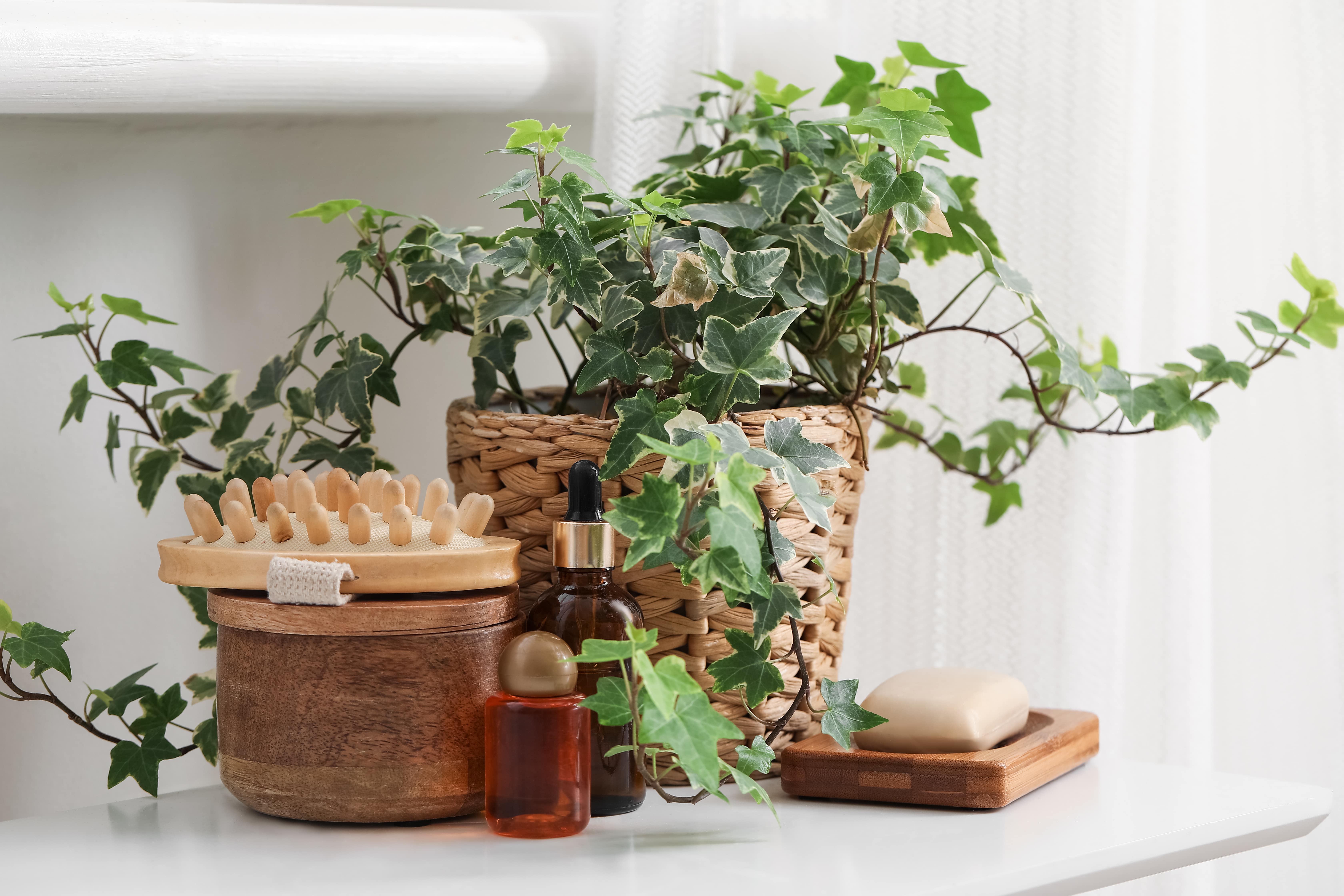 English ivy potted in a wicker basket surrounded by toiletries 