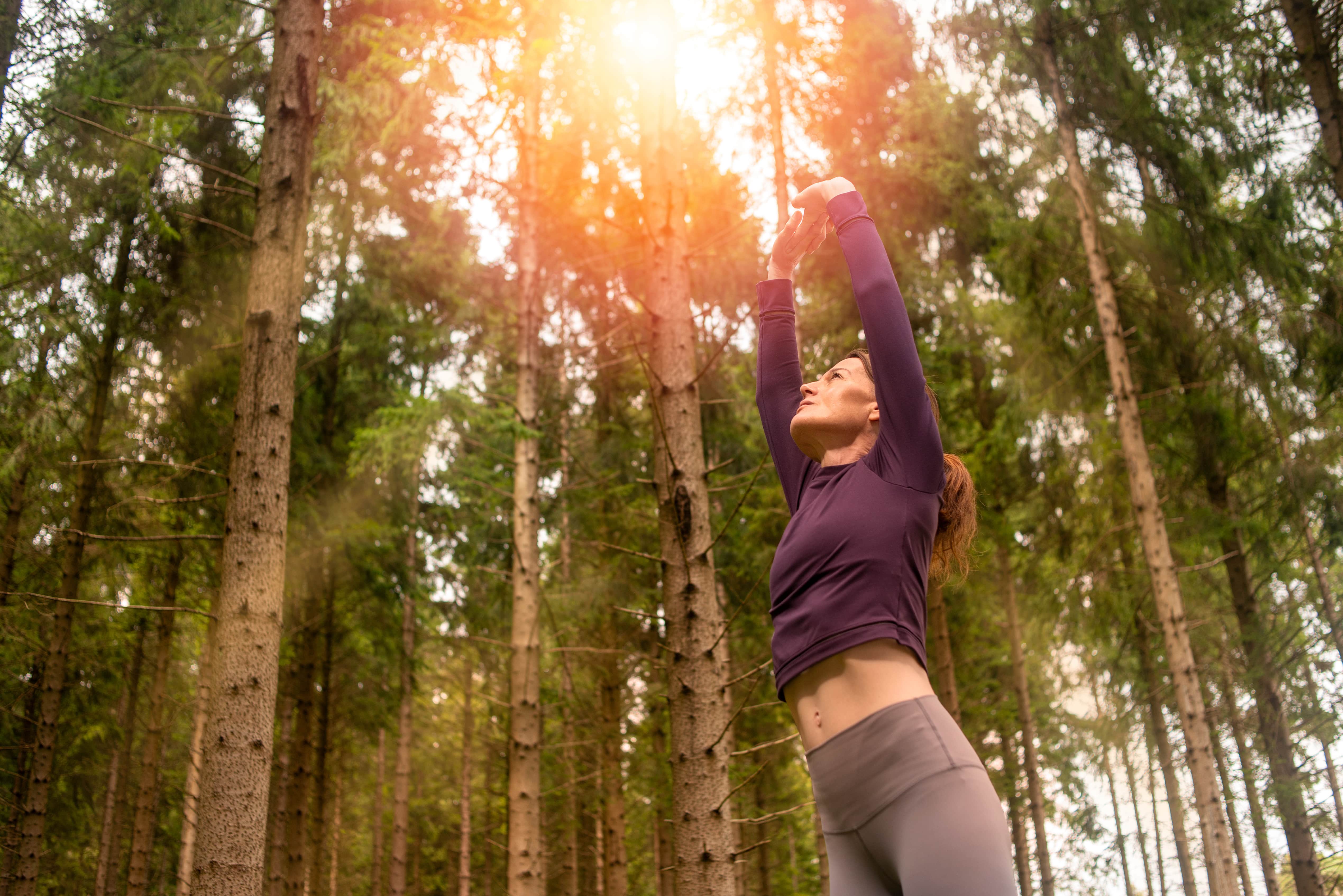 A woman stretching before a morning run in the woods, her arms are raised upwards towards the sky and the sunrise is visible in the canopy of the trees