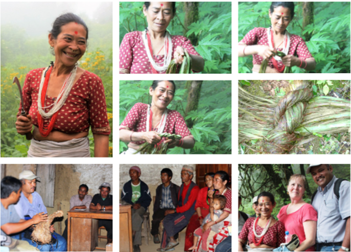 Collage of a Himalayan Allo collecting community