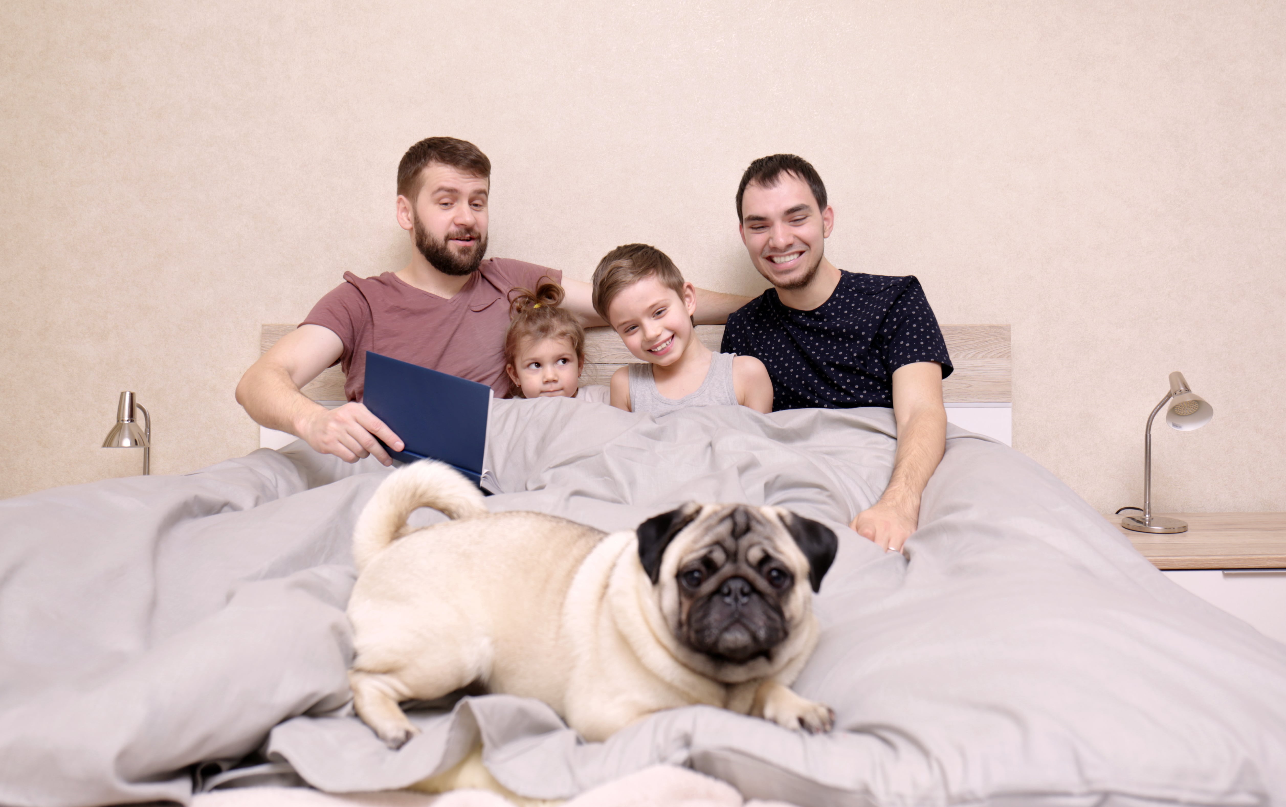 A family of 5 squished into a double bed: two dads, a young smiling boy, a little girl and a pug. One of the dads is trying to read a book, the other is laughing at the dog along with the little boy.