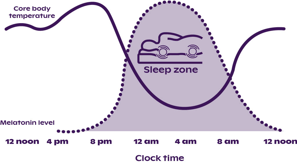 Infographic displaying the relationship between sleep and body temperature