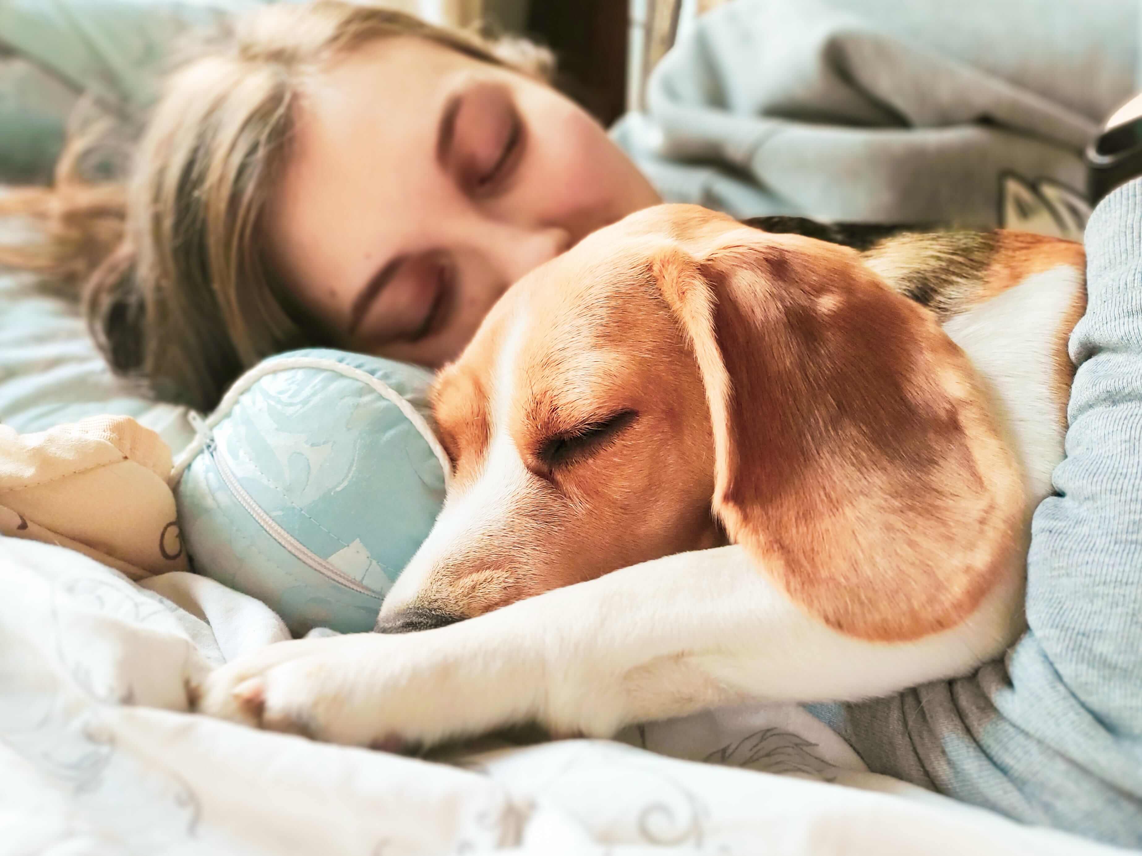 Woman sleeping cuddled up to her dog